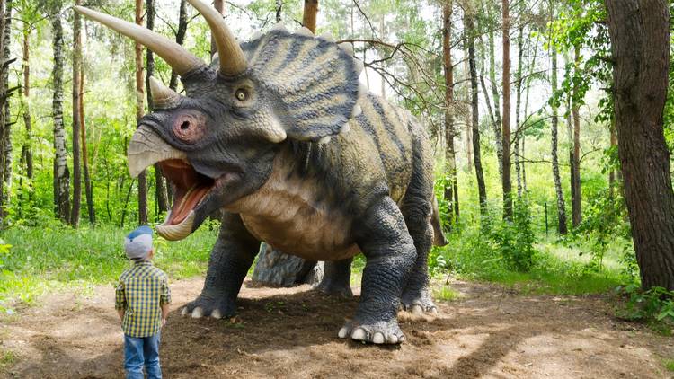 A child stands before a life-size dinosaur