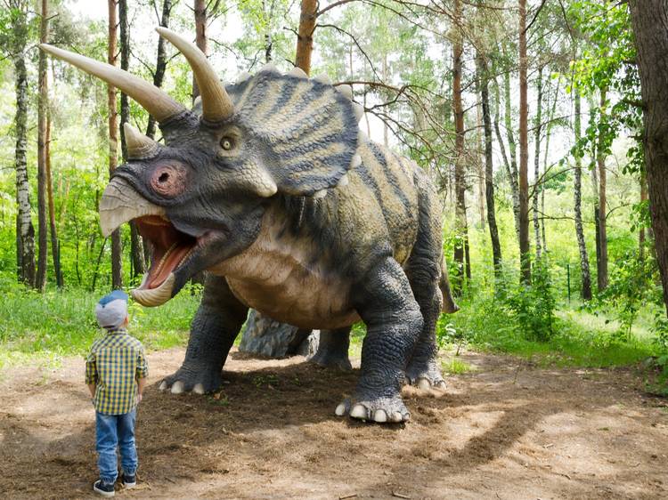 A child stands before a life-size dinosaur