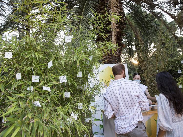 El árbol de nuestros futuros