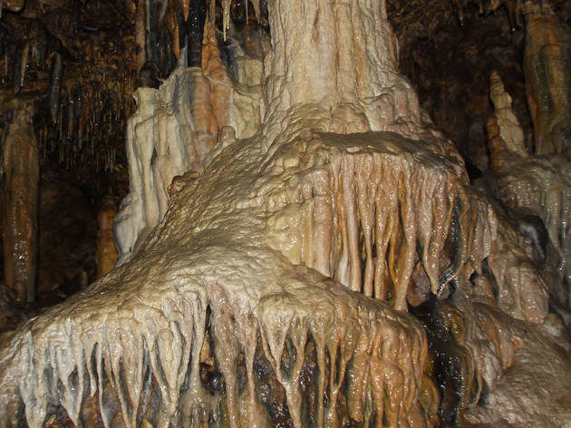 La Cueva de los Enebralejos La Cueva de los Enebralejos