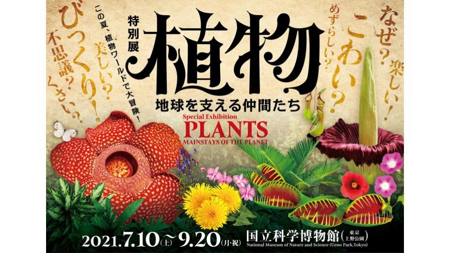 特別展 植物 地球を支える仲間たち