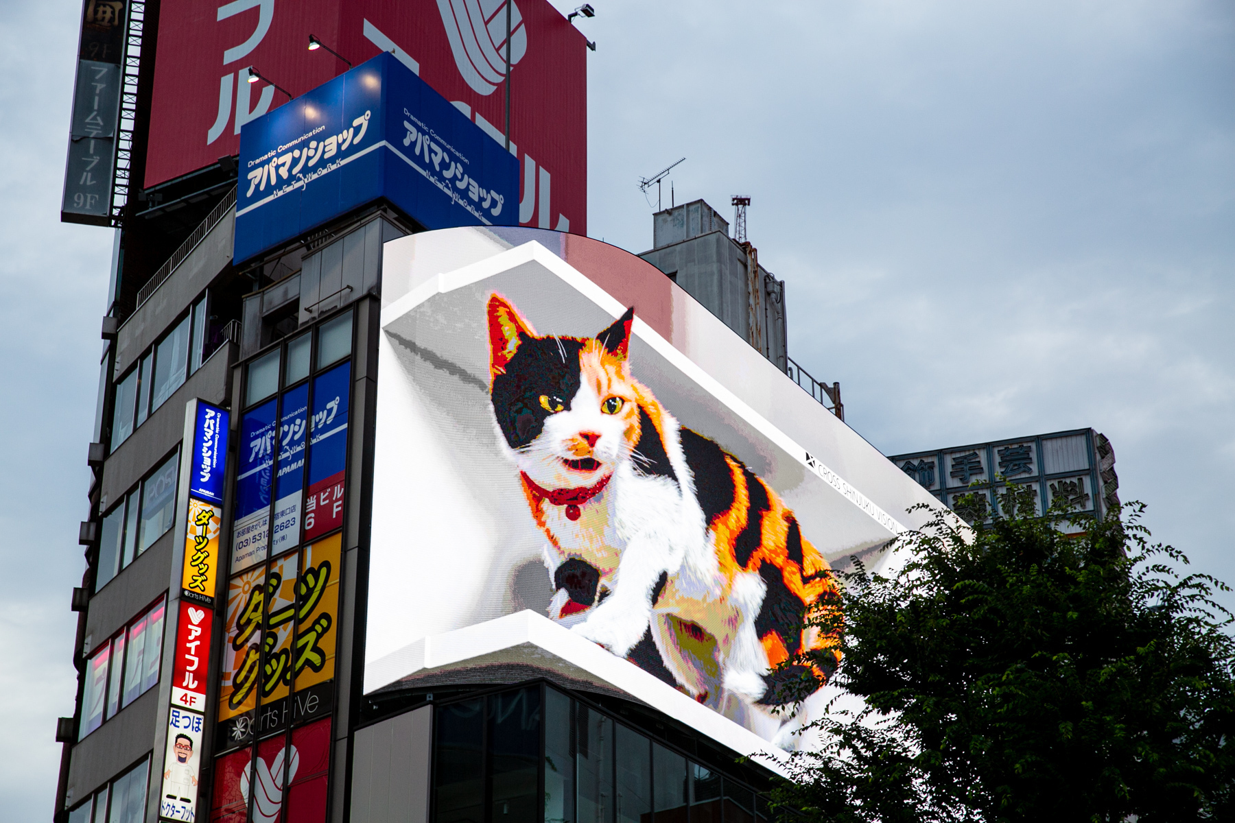 Shinjuku 3D Billboard In Tokyo-Immersive 3D Cat & More Examples