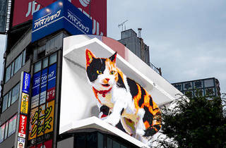 リアル過ぎて視線釘付け 新宿駅前に3dの巨大猫が出現