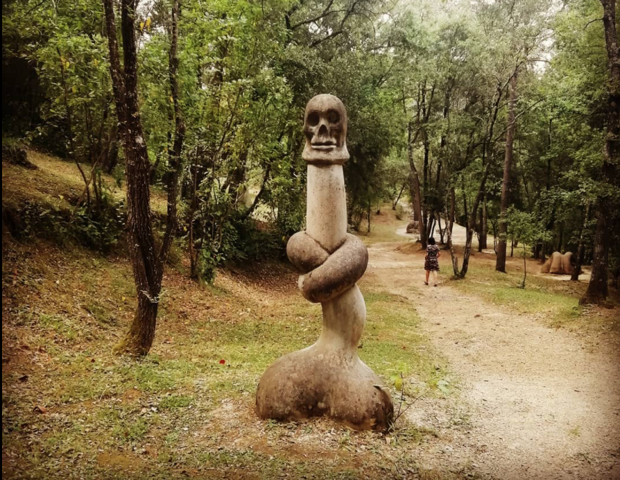 Bosc de Can Ginabreda