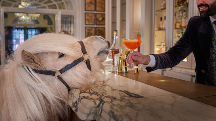 The Goring is getting a pony in residence.