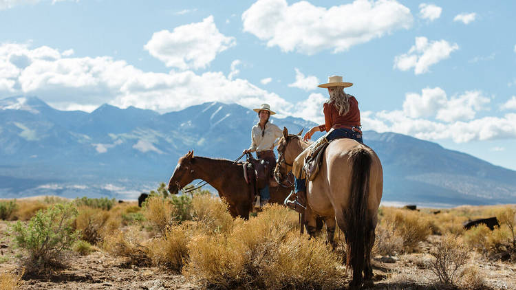 Zapata Ranch, Mosca