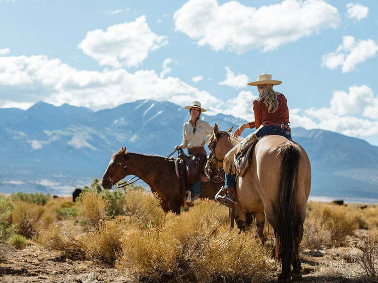 Zapata Ranch, Mosca