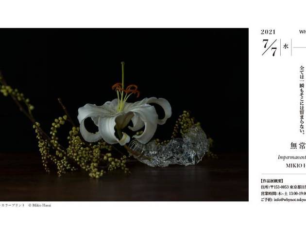 蓮井幹生 個展「無常花」 蓮井幹生 個展「無常花」