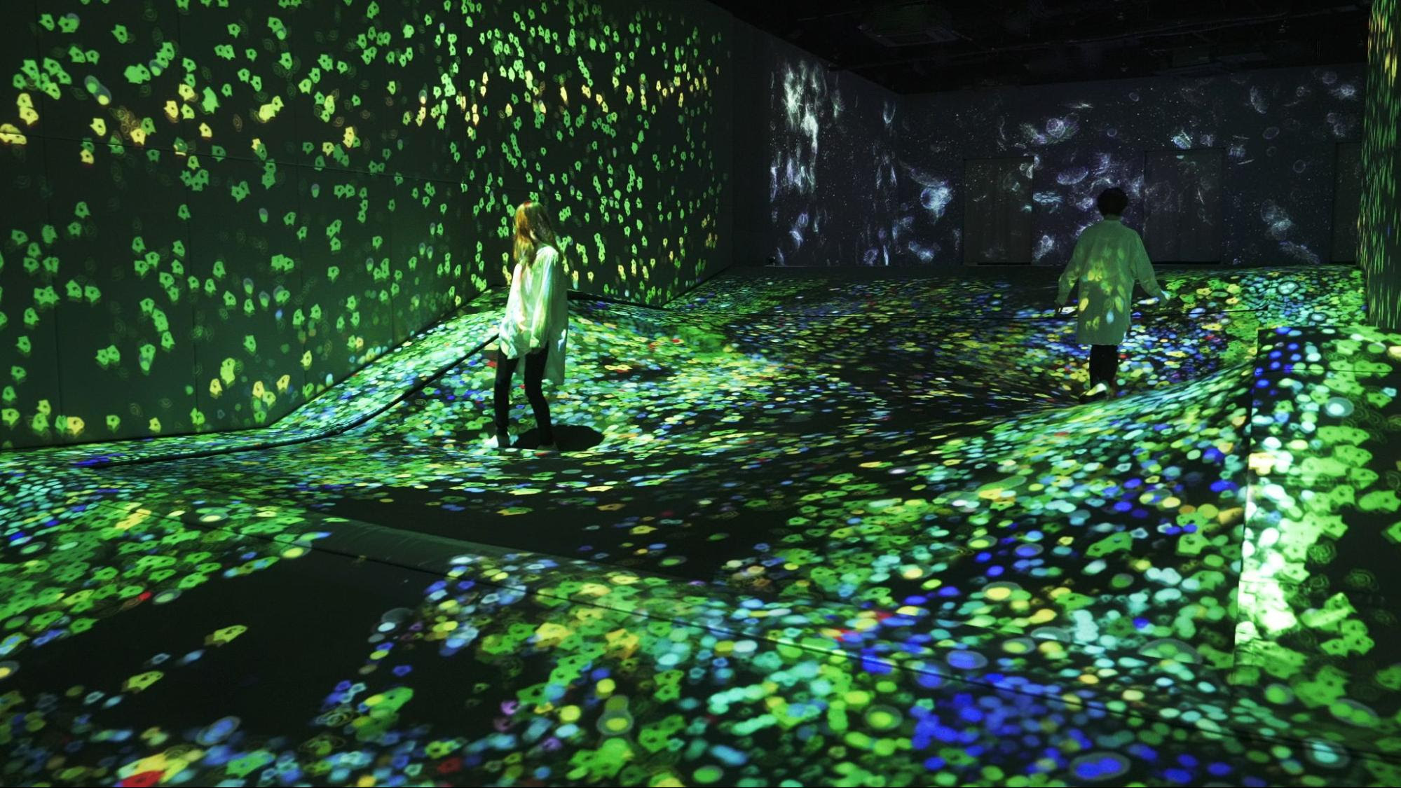 teamLab Forest Fukuoka is updating its exhibitions for the summer