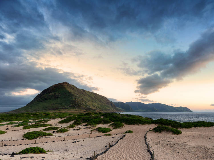 Kaena Point