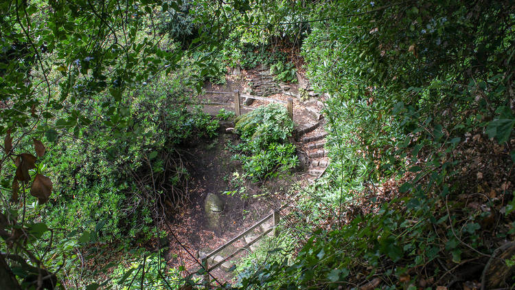 Whinfell Quarry Garden