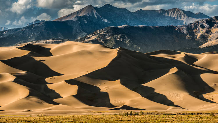 Great Sand Dunes National Park & Preserve, Mosca 