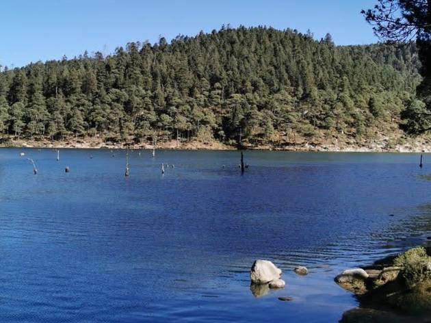 Presa de Iturbide toma abierta de presa rodeada de bosque