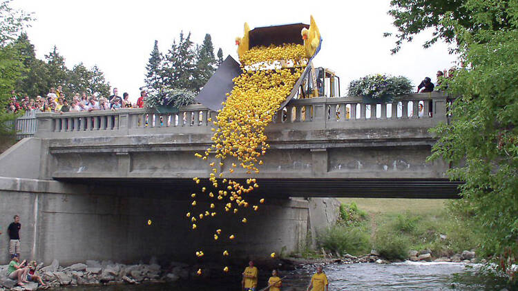 Root for the fastest duck at Rubber Ducky Festival