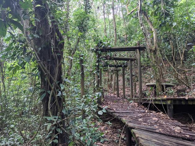 Bukit Batok Hillside Nature Park Bukit Batok Hillside Nature Park