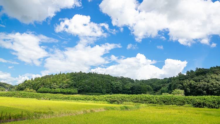 田舎