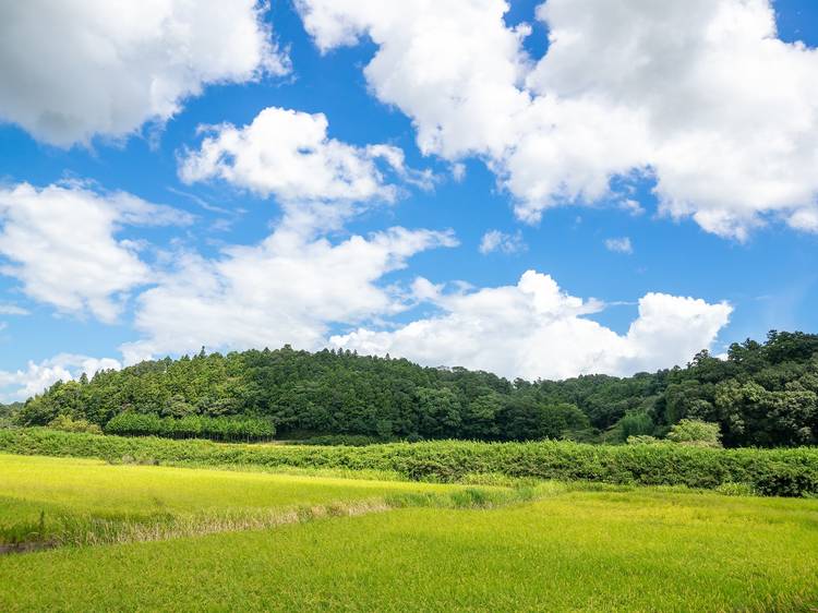 田舎