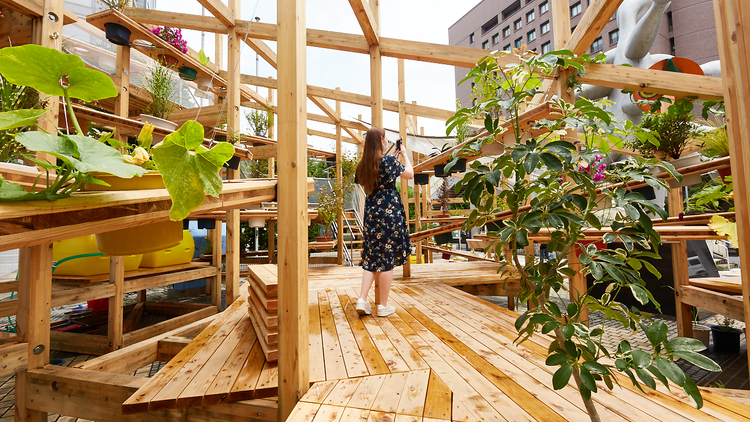 ‘Street Garden Theater’ designed by Teppei Fujiwara