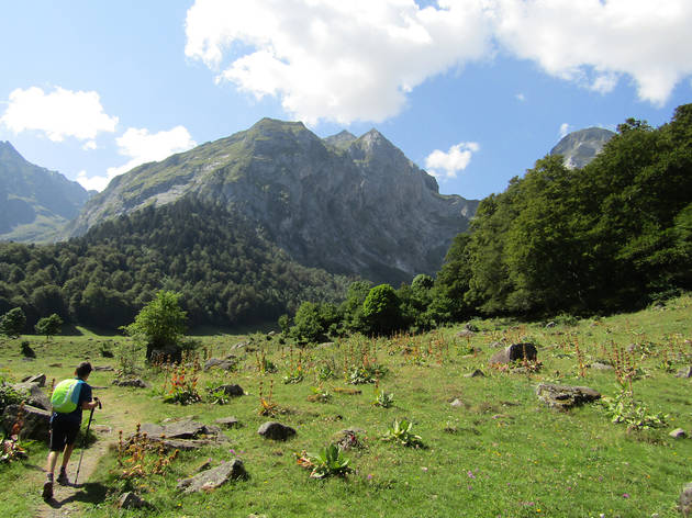 Naut Aran Naut Aran