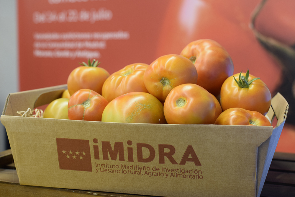 Tomates de Madrid