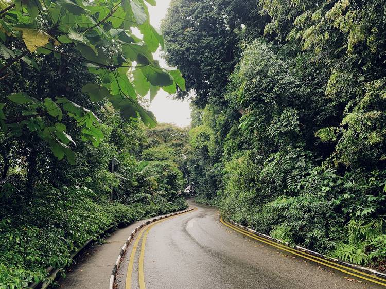 The most scenic driving routes in Singapore