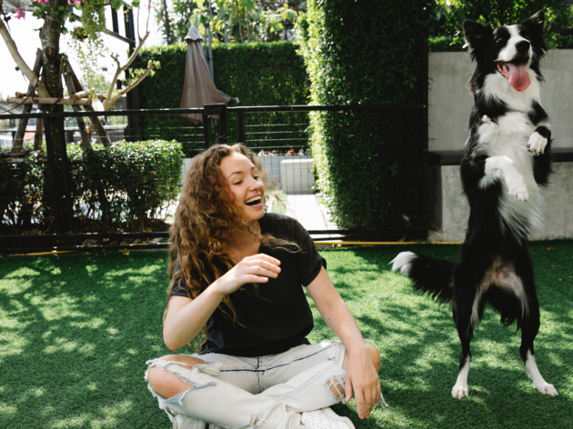 A woman playing with a dog A woman playing with a dog