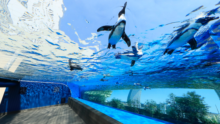 サンシャイン水族館