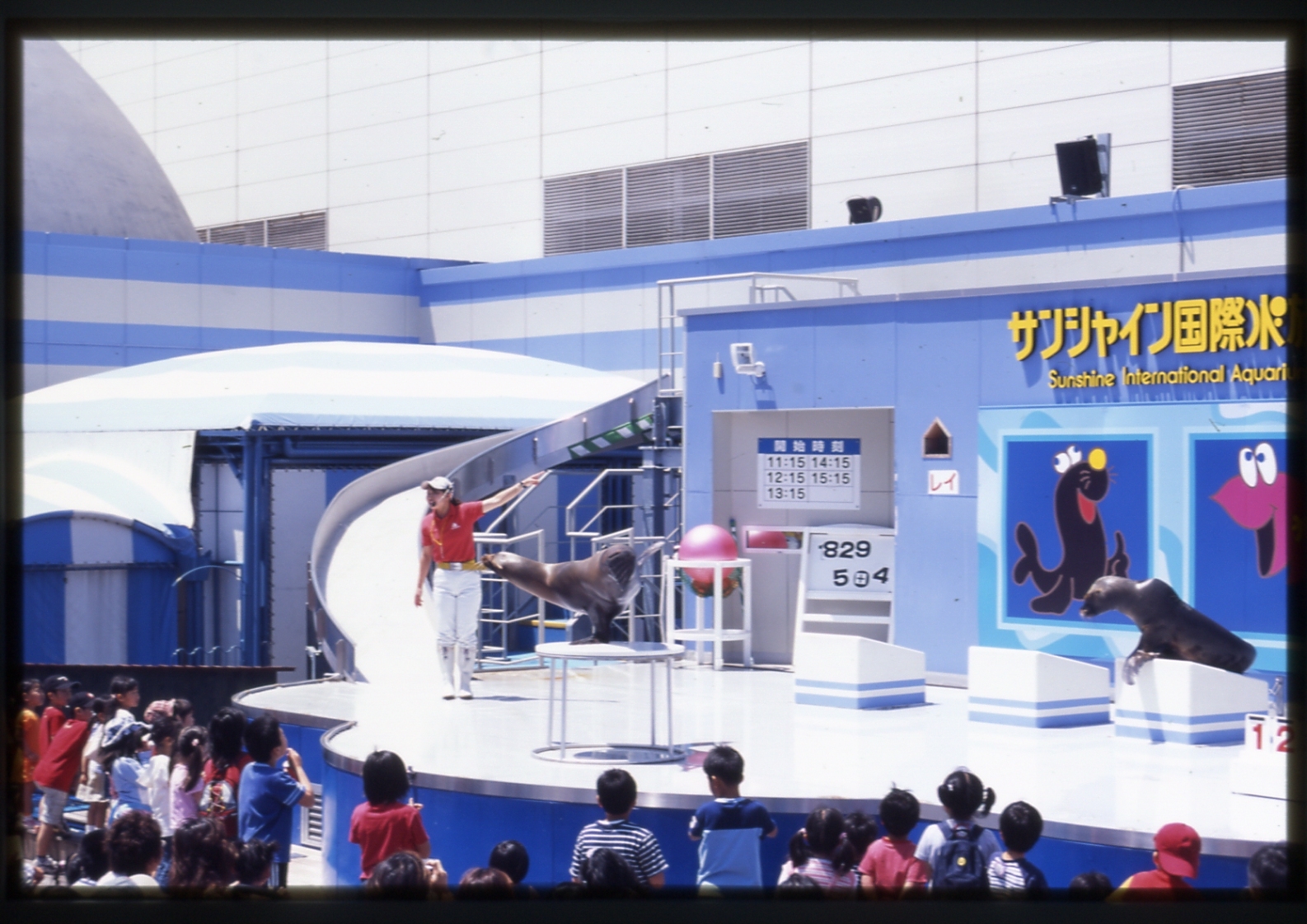 サンシャイン国際水族館時代の写真