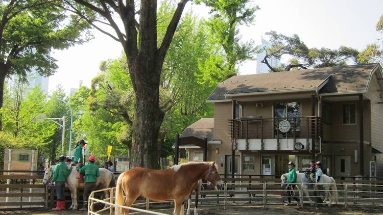 Yoyogi Pony Park