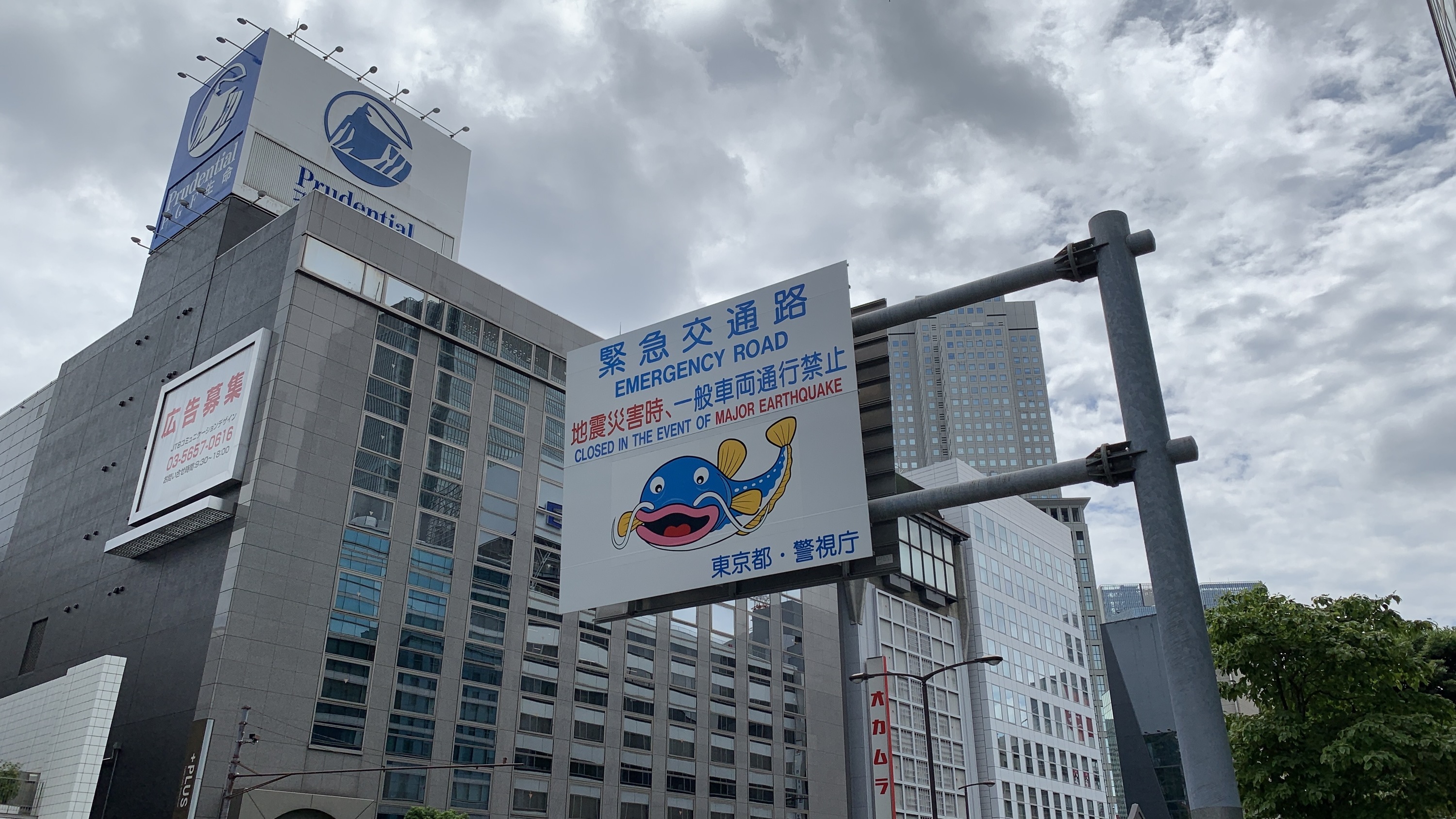 Ridiculous Street Signs #15- Train Fishing- Tokyo - Michael W