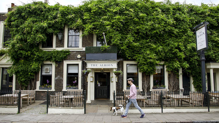 London for Dogs - The Albion, Islington