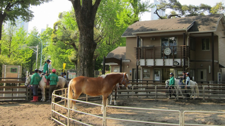 Yoyogi Pony Park