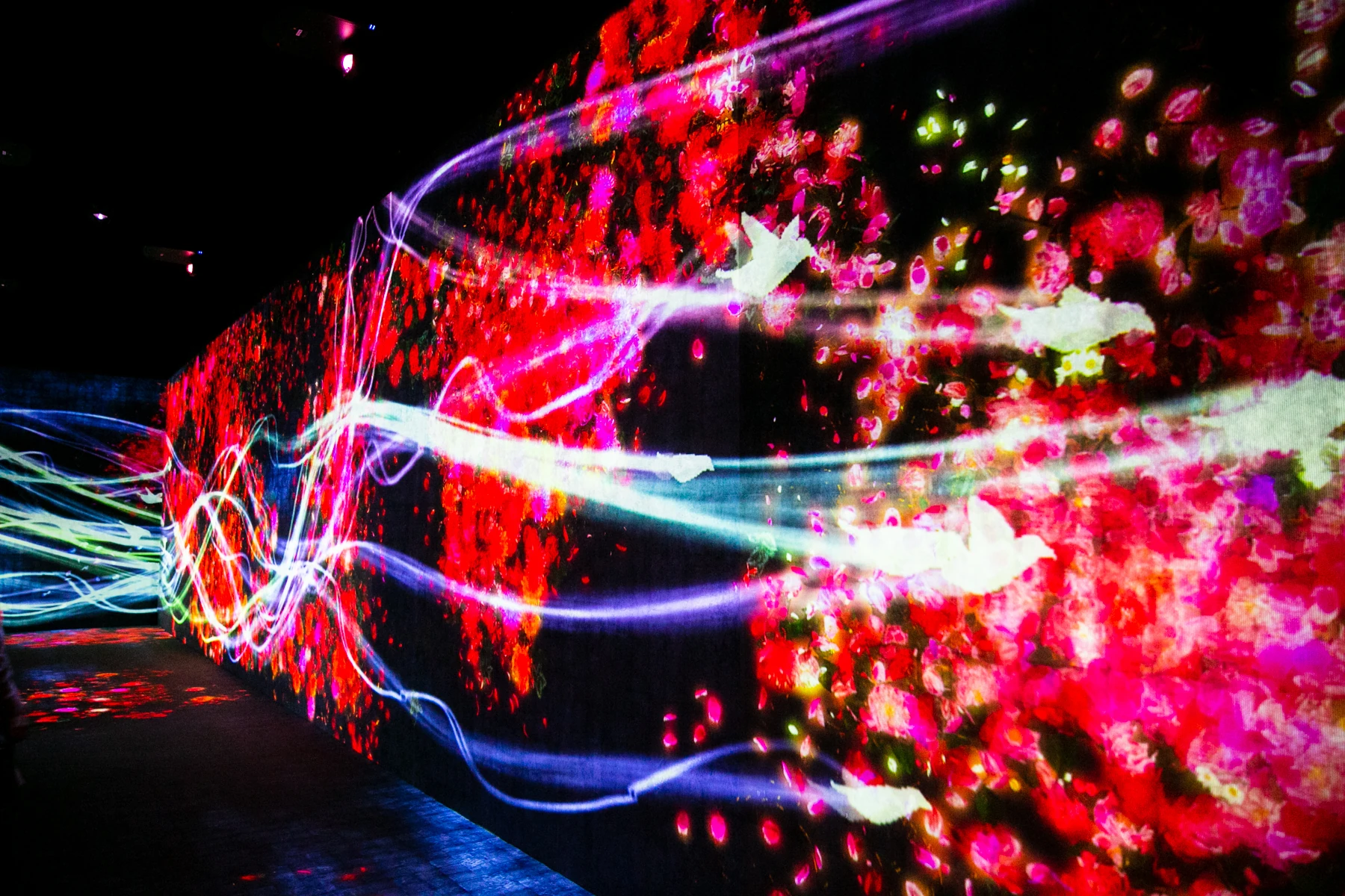 チームラボ ボーダレス