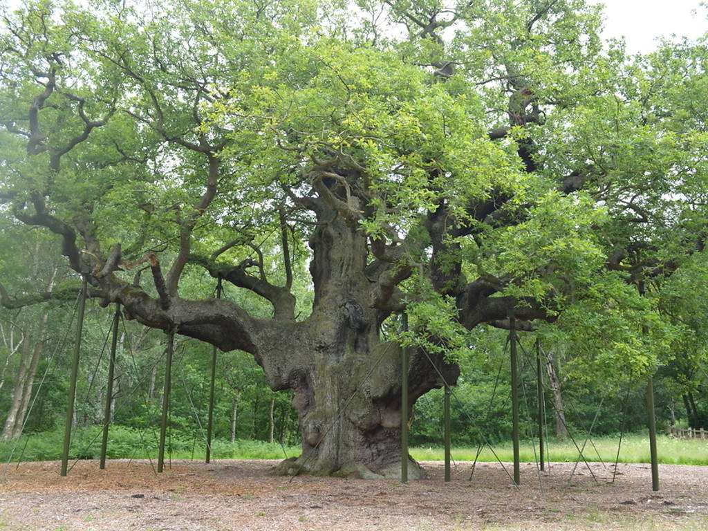 21 Truly Amazing Natural Wonders and Attractions in the UK Right Now