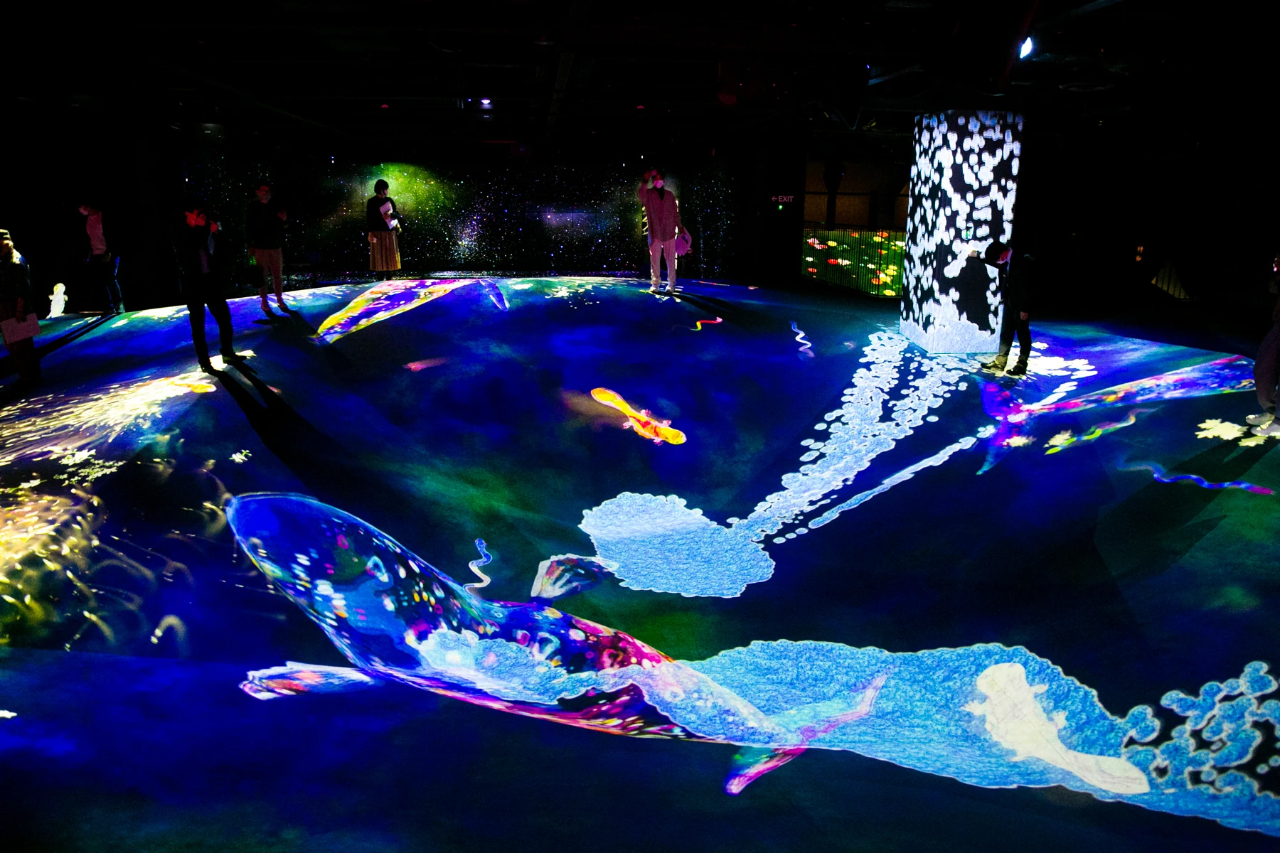 チームラボ ボーダレス