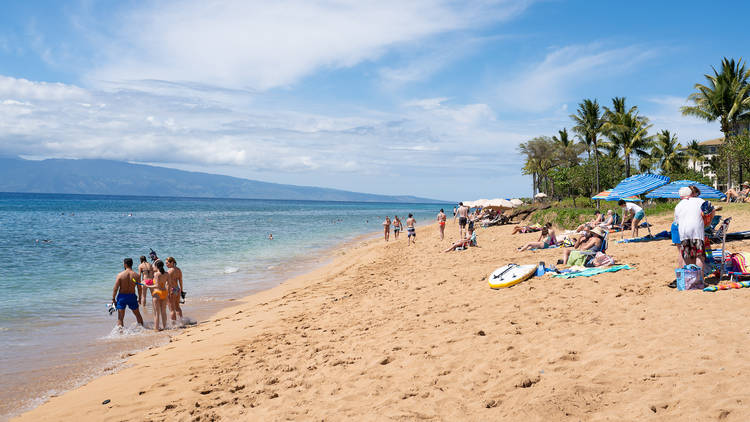 Maui beach with people 