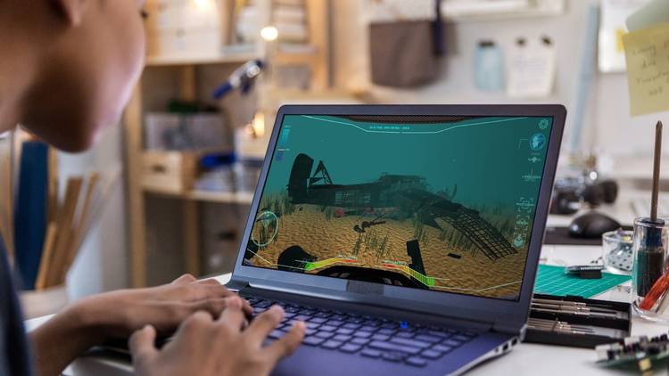 A person playing a compute game about shipwrecks on their laptop 