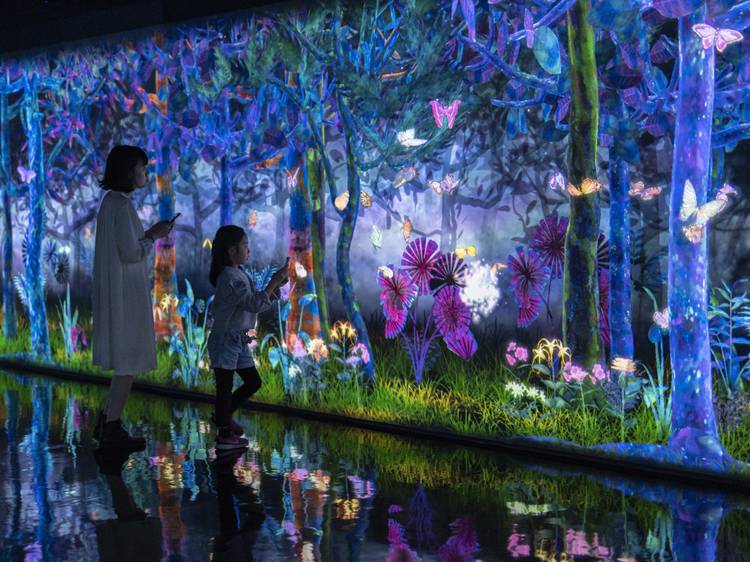 Where to see teamLab art for free in Tokyo