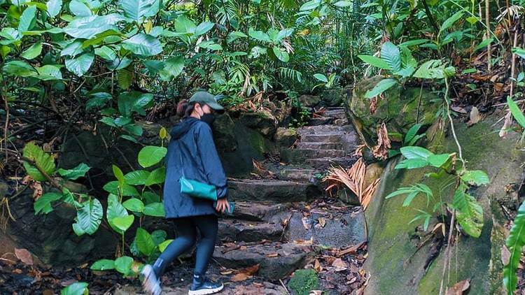 Bukit Batok Hillside Park