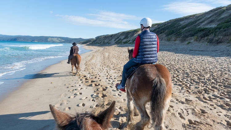 Blazing Saddles Aireys Inlet