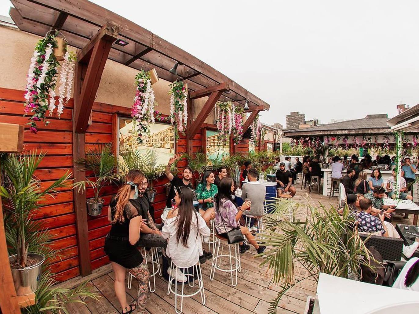 20 Best Rooftop Bars in Montreal for Drinks High Above the City