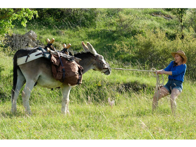 O Meu Burro, o Meu Amante e Eu O Meu Burro, o Meu Amante e Eu