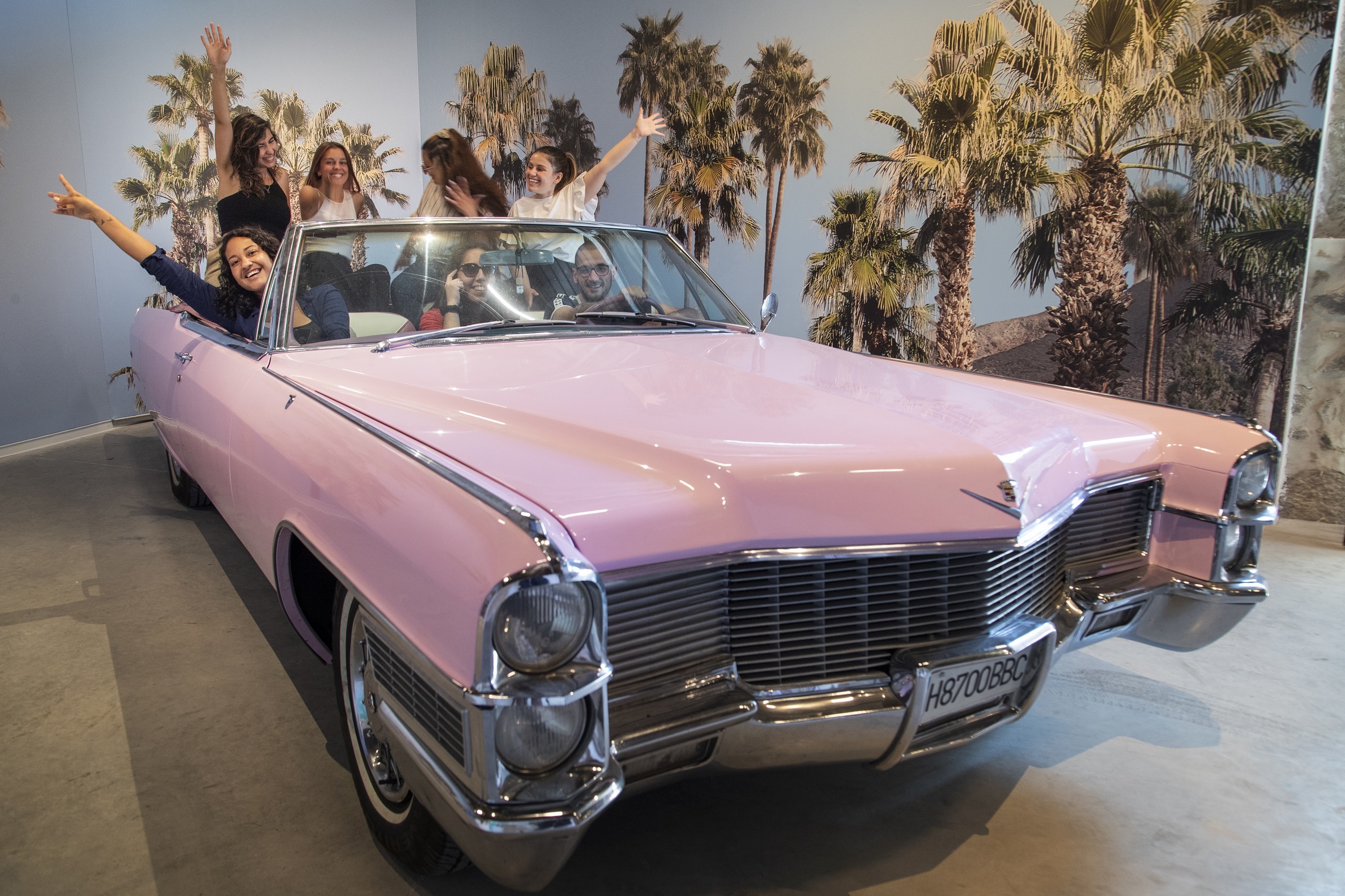 Pink Palace