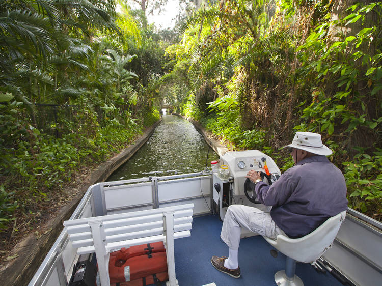 the captain steers the boat through a canal on the Winter Park Scenic Boat Tour