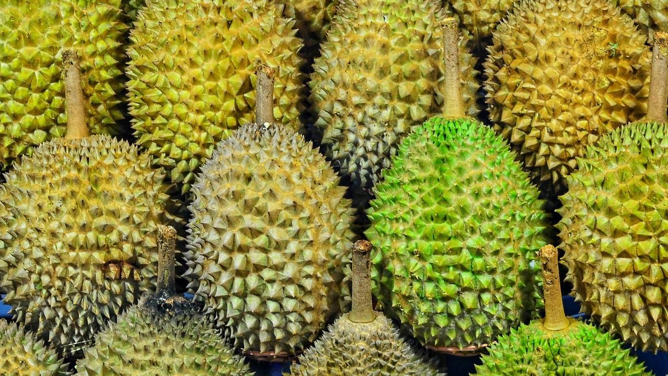 Your Ultimate Guide To Durian In Singapore