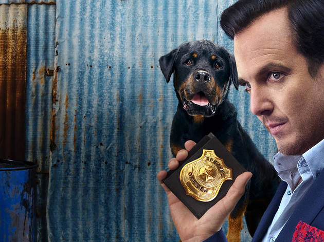 Show Dogs Show Dogs