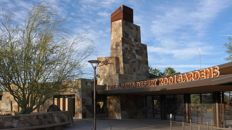 Feed the giraffes at the Living Desert Zoo & Gardens