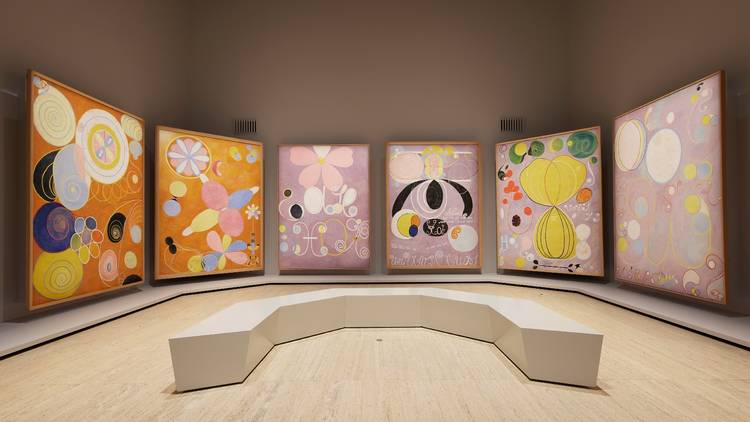 An empty galery of  Hilma af Klint paintings