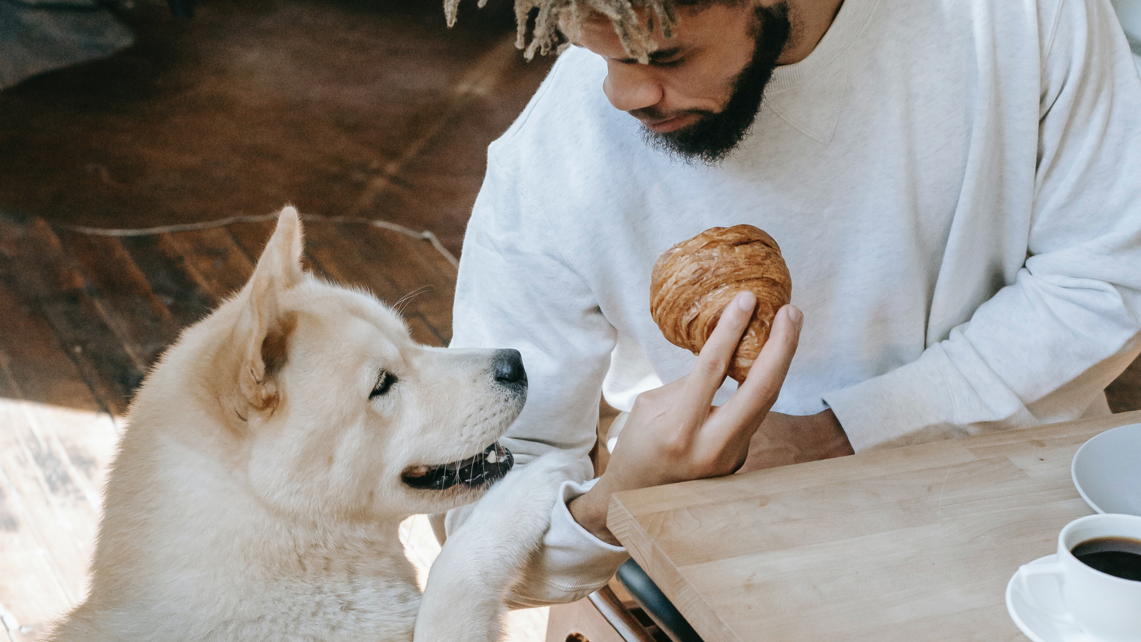 The 19 best dog-friendly restaurants in Victoria, according to new dining data