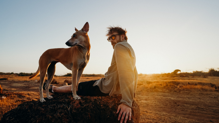 Dog on a trip with owner